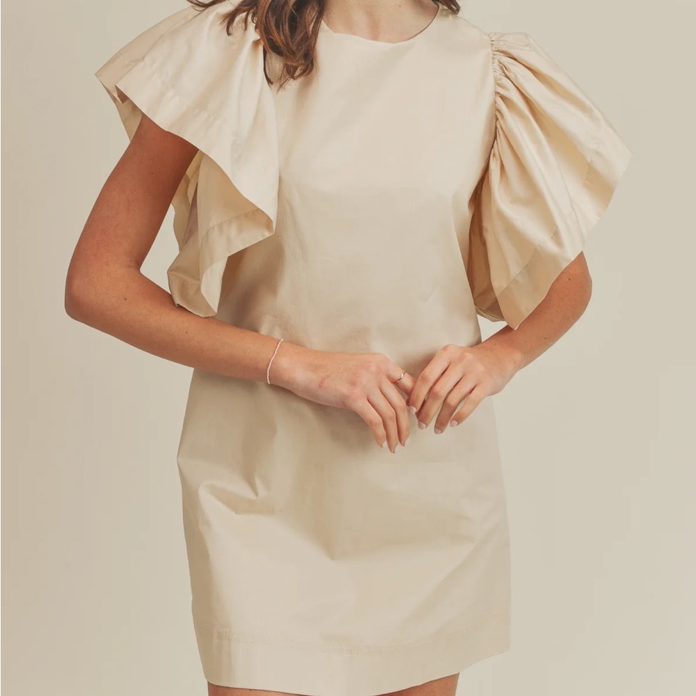 Never worn black dress with ruffle sleeves